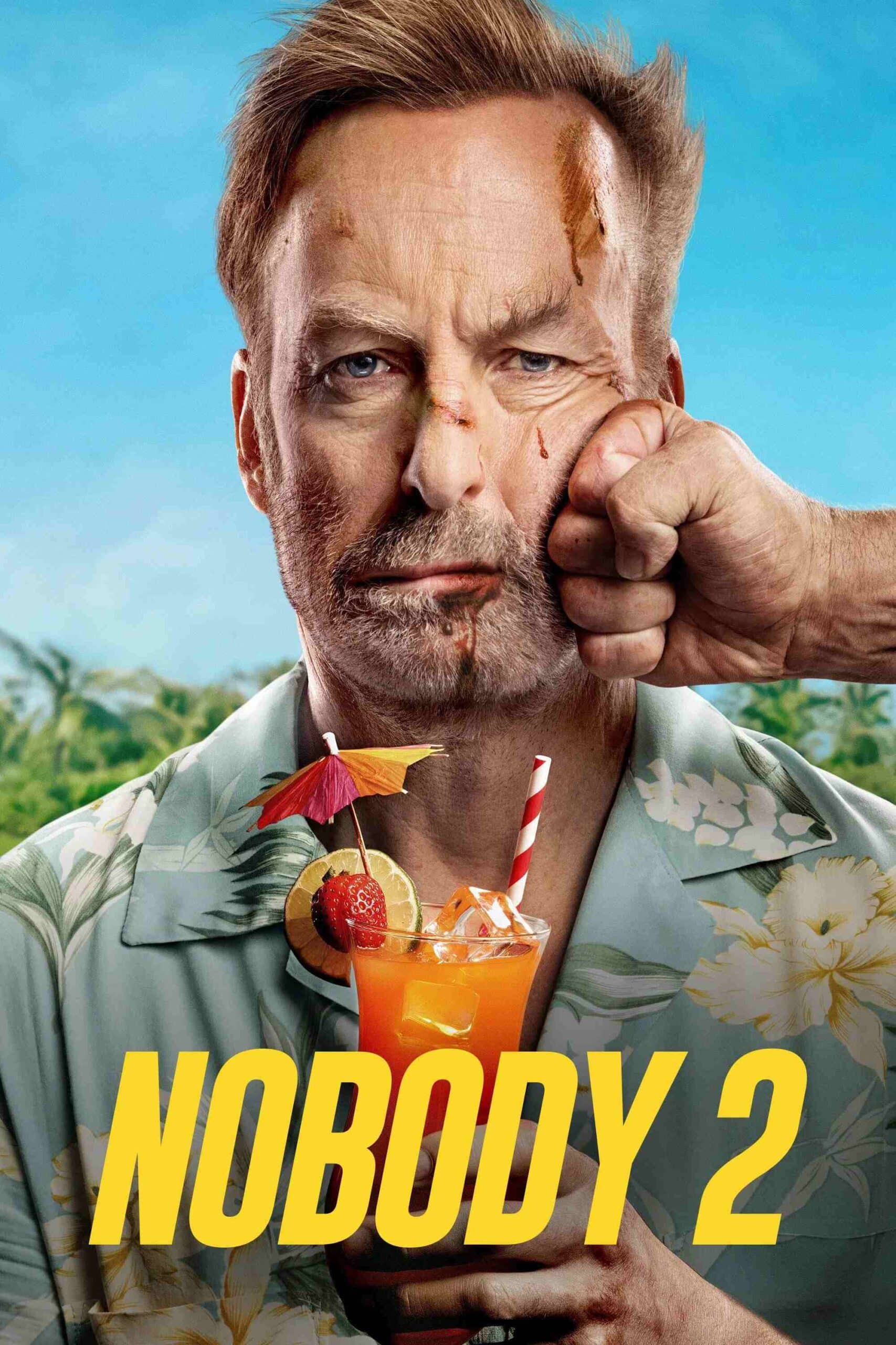 Nobody 2 (2015) (Hindi + English) Dual Audio Hollywood Movie HD ESub